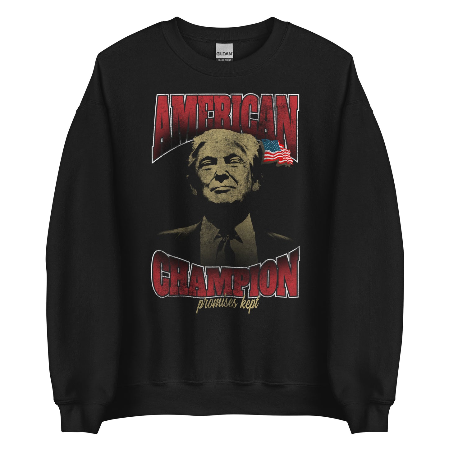 American Champion Sweatshirt