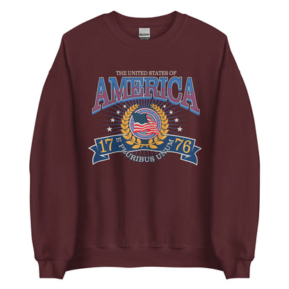 America Collegiate Sweatshirt